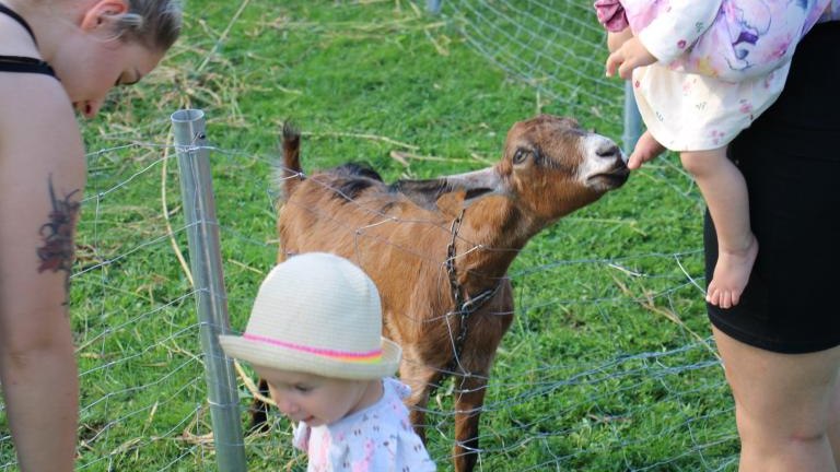 IMG_6209 (Niestandardowy).JPG