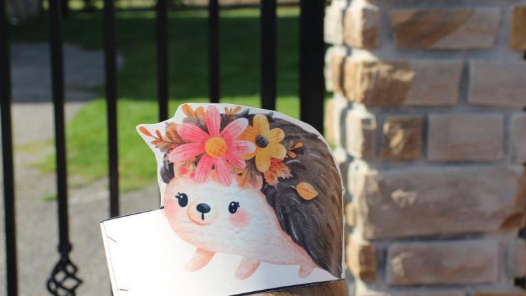 IMG_6626 (Niestandardowy).JPG