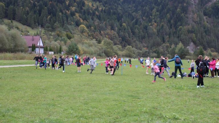 24 (Niestandardowy).JPG