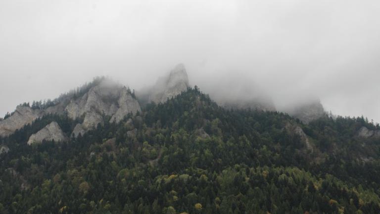 IMG_6940 (Niestandardowy).JPG