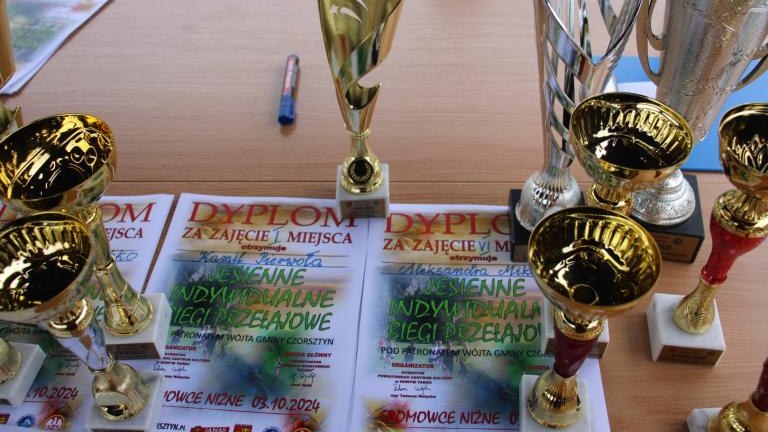 IMG_6954 (Niestandardowy).JPG