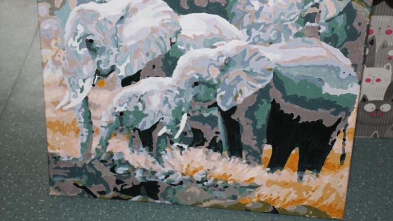 IMG_7115 (Niestandardowy).JPG