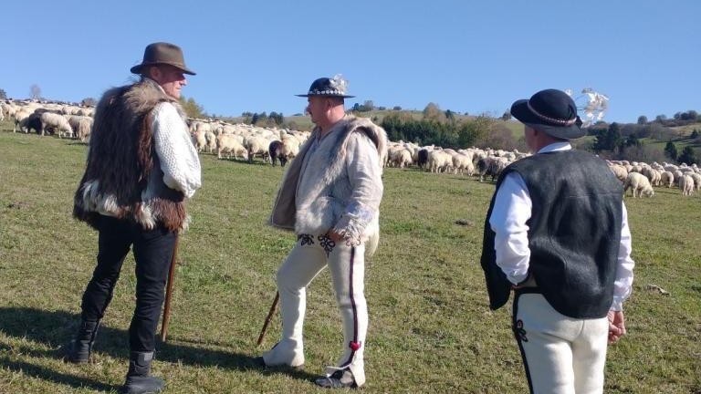 1 (3) (Niestandardowy).jpg