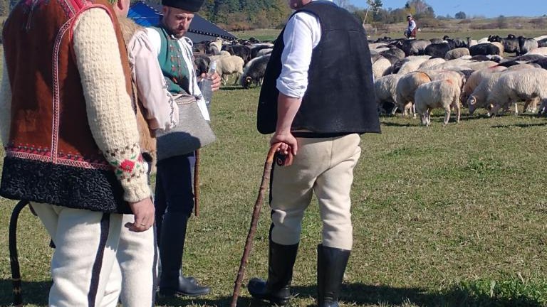 1 (5) (Niestandardowy).jpg