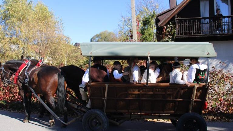 2 (11) (Niestandardowy).JPG