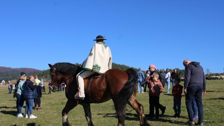 2 (2) (Niestandardowy).JPG