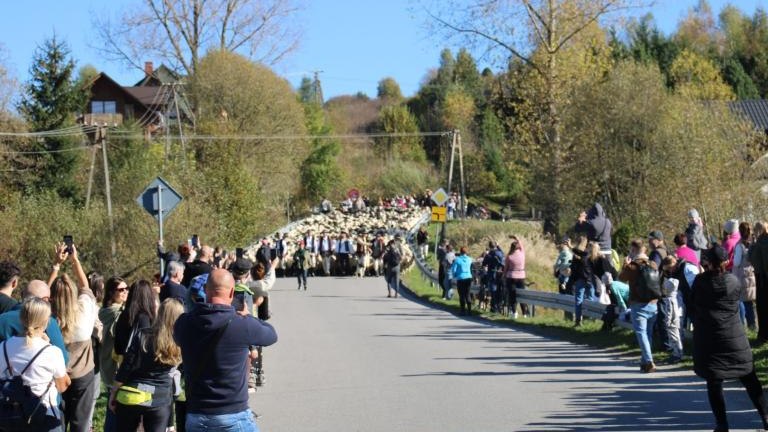 2 (20) (Niestandardowy).JPG