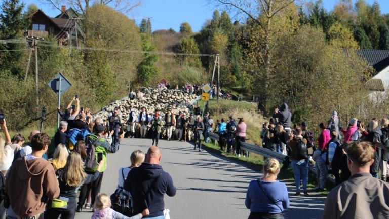 2 (21) (Niestandardowy).JPG