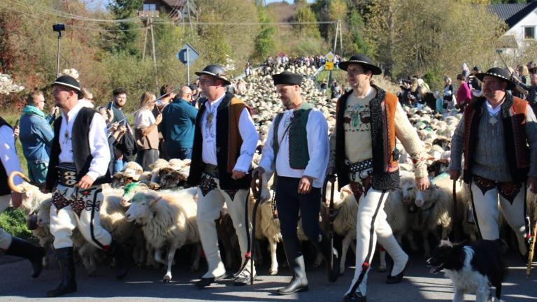 2 (24) (Niestandardowy).JPG