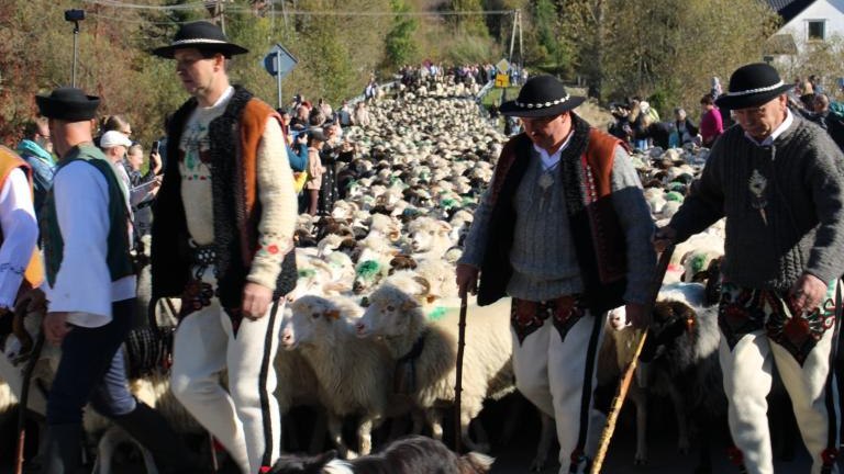 2 (25) (Niestandardowy).JPG