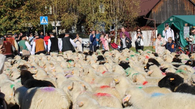 2 (28) (Niestandardowy).JPG