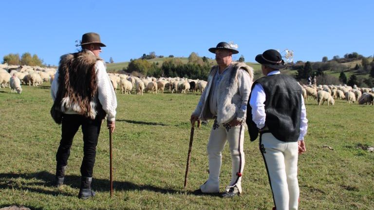 2 (3) (Niestandardowy).JPG