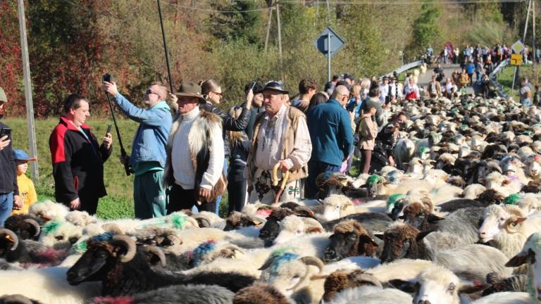 2 (31) (Niestandardowy).JPG