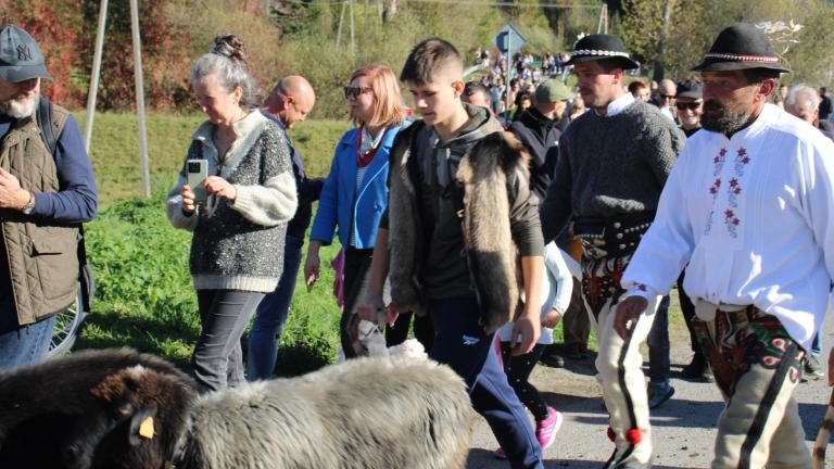 2 (35) (Niestandardowy).JPG