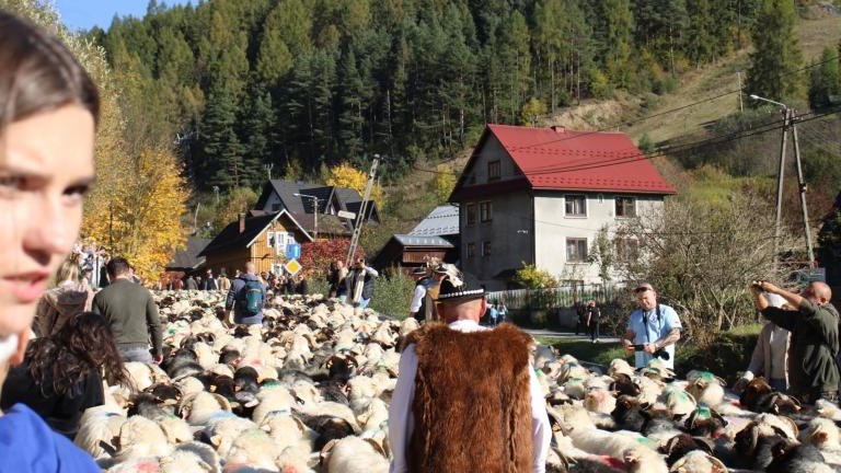 2 (37) (Niestandardowy).JPG