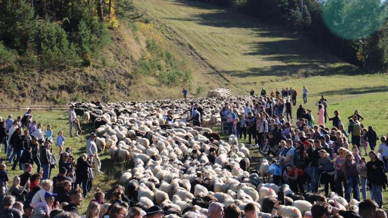 2 (43) (Niestandardowy).JPG