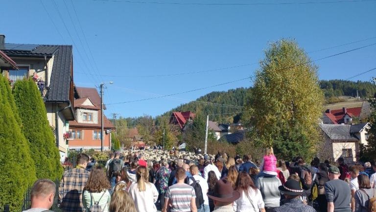 2 (47) (Niestandardowy).jpg