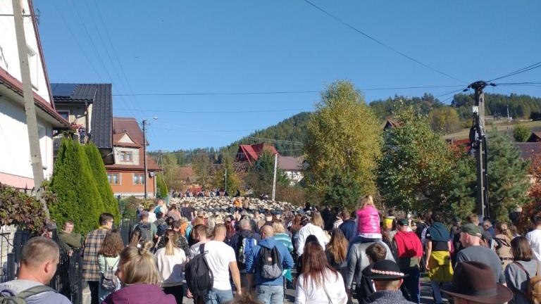 2 (49) (Niestandardowy).jpg