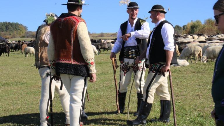 2 (6) (Niestandardowy).JPG