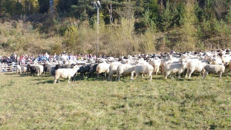 3 (1) (Niestandardowy).jpg