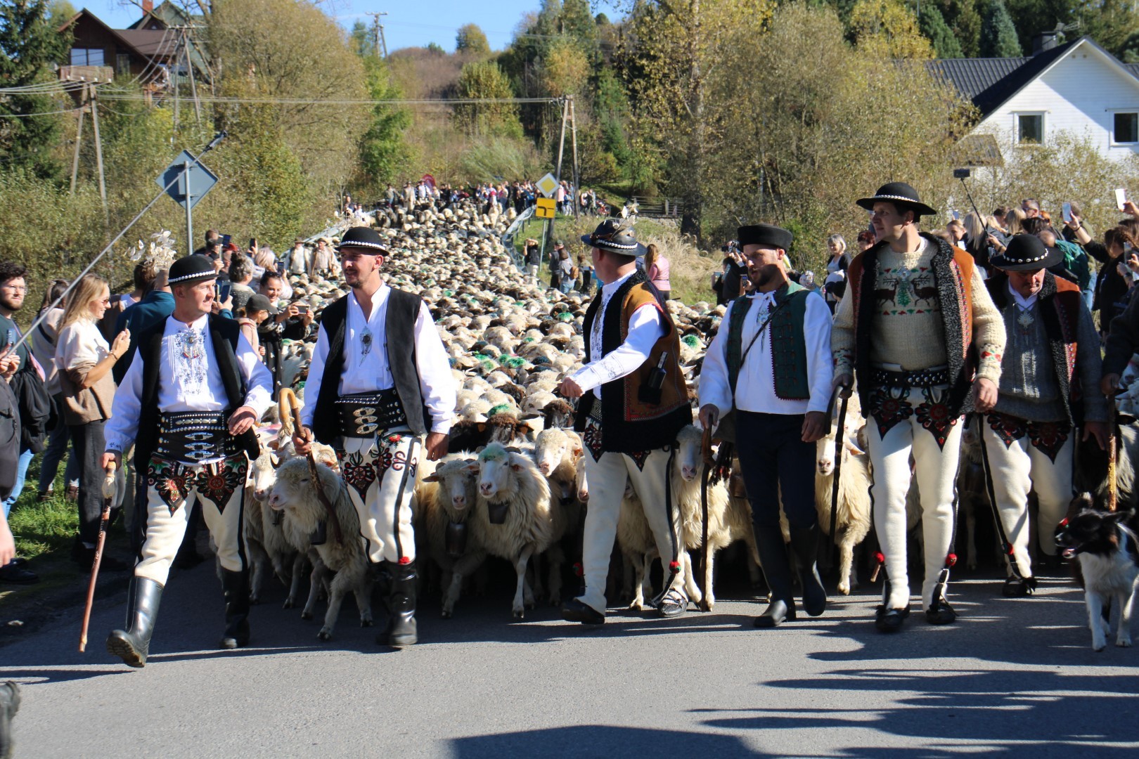 Fotorelacja z II Pienińskiego Wypasu Kulturowego