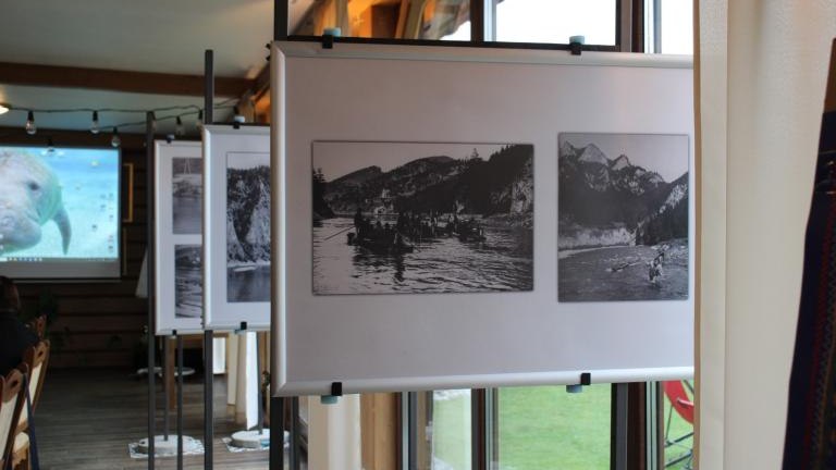 IMG_7807 (Niestandardowy).JPG