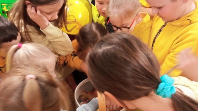 hdimg3b5ce6fc7955f573f2406ca14226c1 (Niestandardowy).jpg