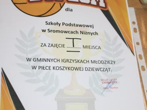 Zawody młodzieży szkolnej w koszykówce