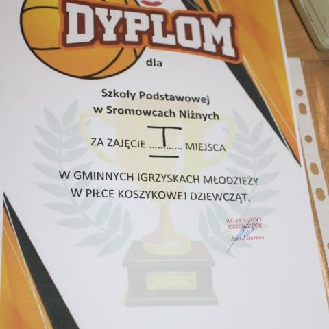 Zawody młodzieży szkolnej w koszykówce