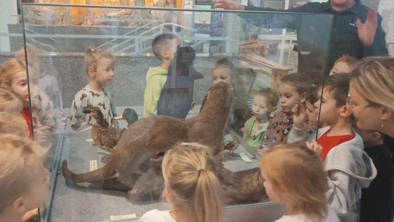 Park lekcja (5) (Niestandardowy).jpg