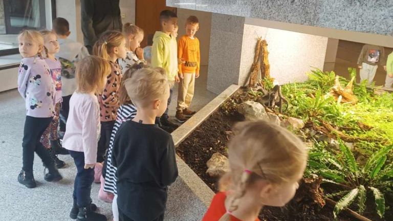 Park lekcja (8) (Niestandardowy).jpg