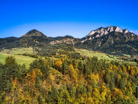 Nabór ofert konkursowych ”Małopolska Gościnna – I edycja” 2025