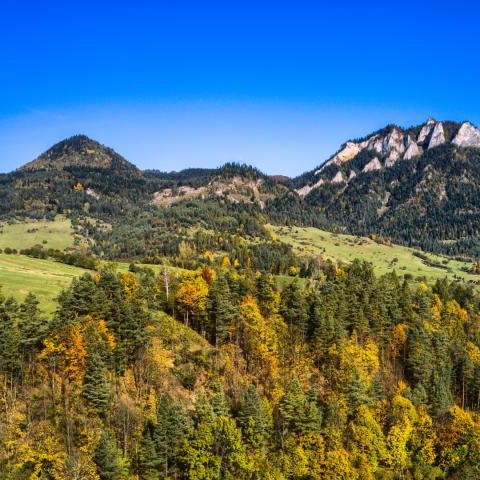 Nabór ofert konkursowych ”Małopolska Gościnna – I edycja” 2025