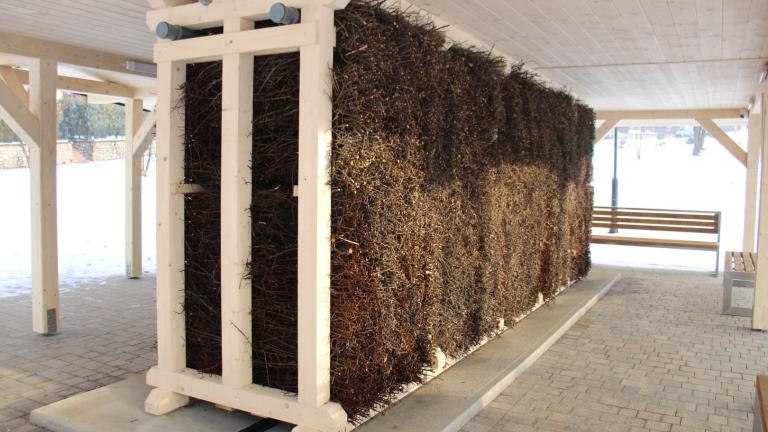 IMG_8958 (Niestandardowy).JPG