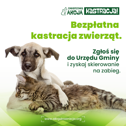 ZWIERZowa Akcja Kastracja w Gminie Czorsztyn