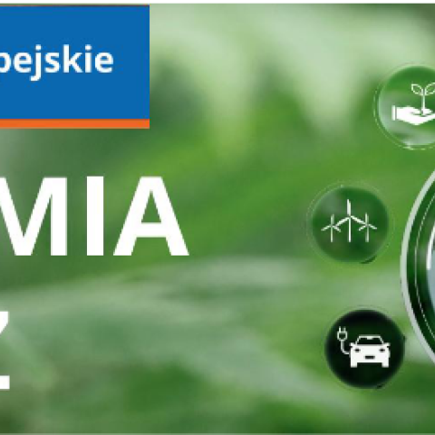 Bezpłatne szkolenia i doradztwo dla przedsiębiorców – Akademia GOZ