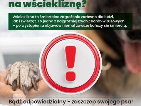 Wścieklizna - śmiertelne zagrożenie dla ludzi i zwierząt