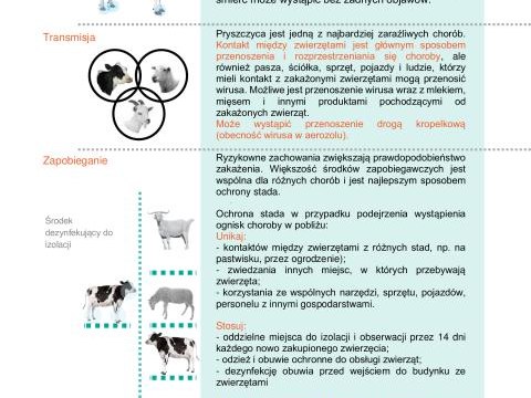 Informacja Powiatowego Lekarza Weterynarii w Nowym Targu dotycząca pryszczycy (FMD)