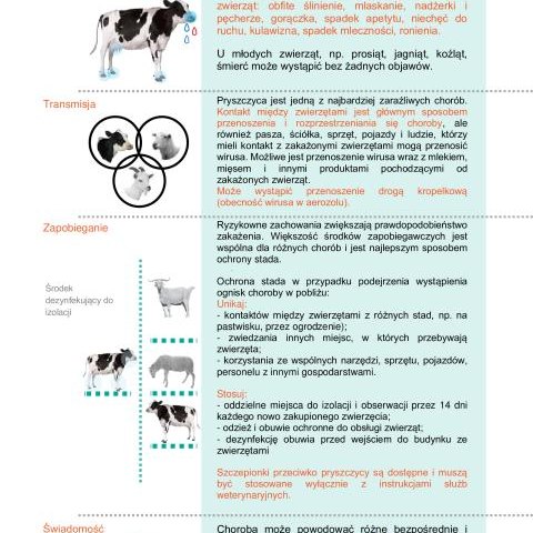Informacja Powiatowego Lekarza Weterynarii w Nowym Targu dotycząca pryszczycy (FMD)