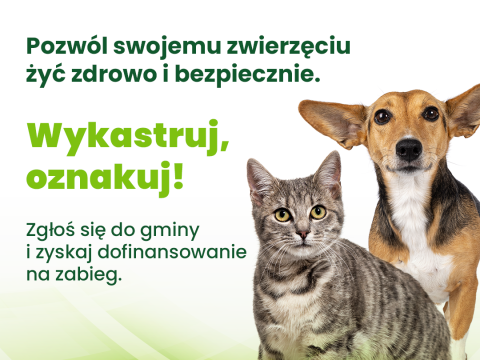 ZWIERZowa Akcja Kastracja!