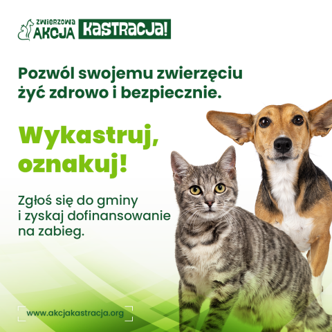 ZWIERZowa Akcja Kastracja!