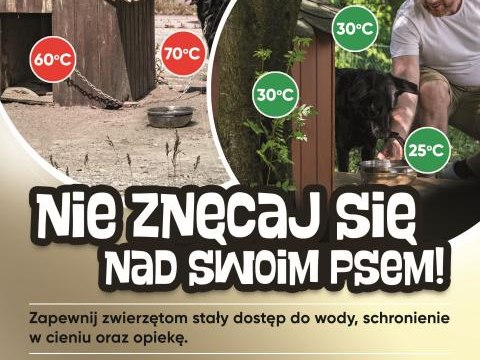 Zbliża się kolejna fala upałów, uwaga na zwierzęta!