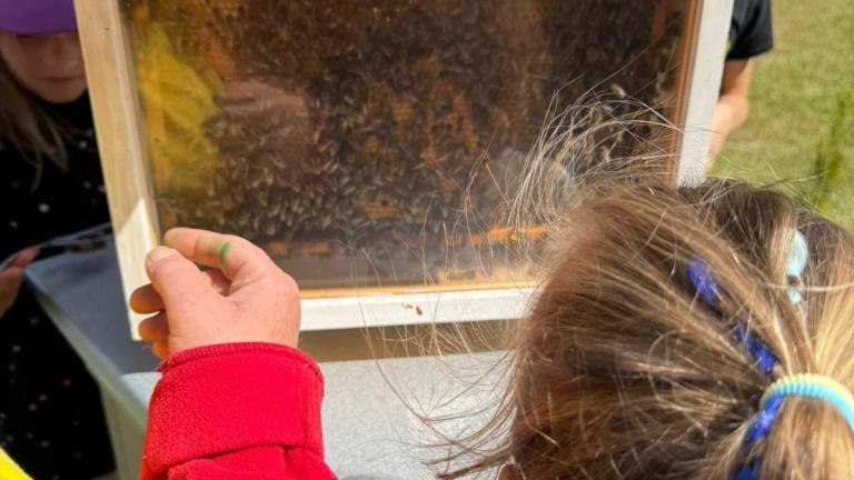 Zdjęcie WhatsApp 2025-08-26 o 12.29.34_a202dba9.jpg