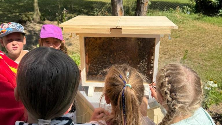 Zdjęcie WhatsApp 2025-08-26 o 12.29.34_c8863fdf.jpg