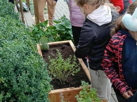 „Ogórek edukacyjny” – warsztaty przyrodnicze w Sromowcach Wyżnych