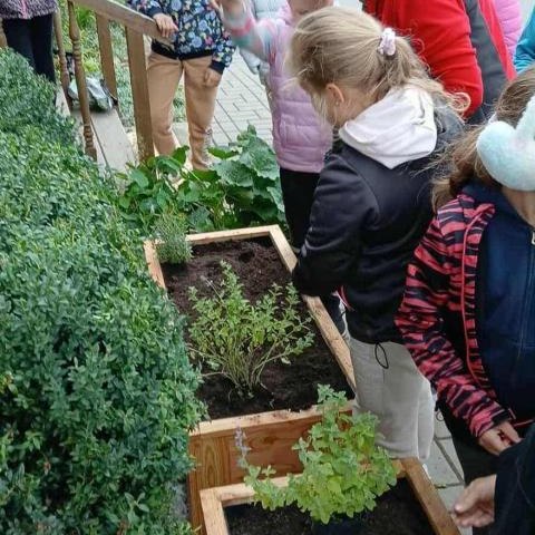 „Ogórek edukacyjny” – warsztaty przyrodnicze w Sromowcach Wyżnych