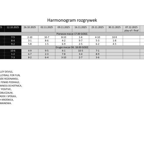 Nowy harmonogram i tabela Amatorskiej Ligi Piłki Siatkowej!