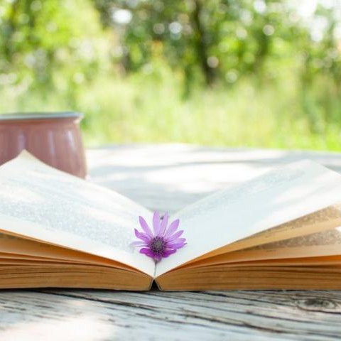 Konkurs Literacki „PIĘKNO MAŁOPOLSKI – SŁOWEM OPISANE”