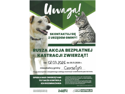 Rusza akcja bezpłatnej kastracji zwierząt dla mieszkańców Gminy Czorsztyn