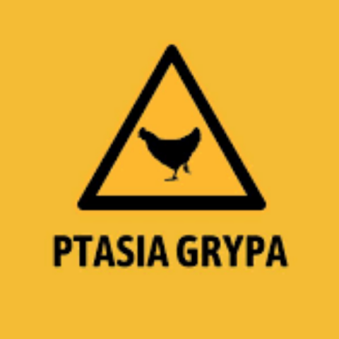 Rozporządzenie Wojewody Małopolskiego – wysoce zjadliwa grypa ptaków (HPAI)